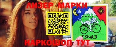стафф Кингисепп