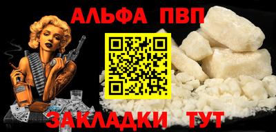 стафф Кингисепп