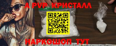 стафф Кингисепп
