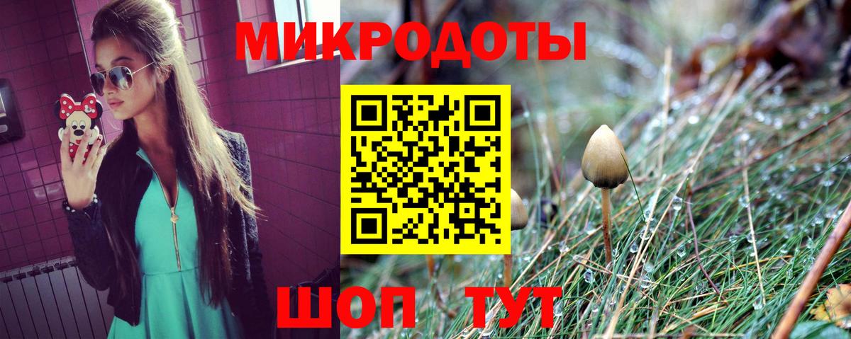 Псилоцибиновые грибы прущие грибы Кудымкар